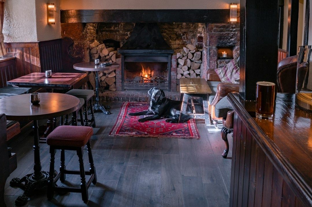 Country pub lounge with a crackling fireplace and black dog on a rug